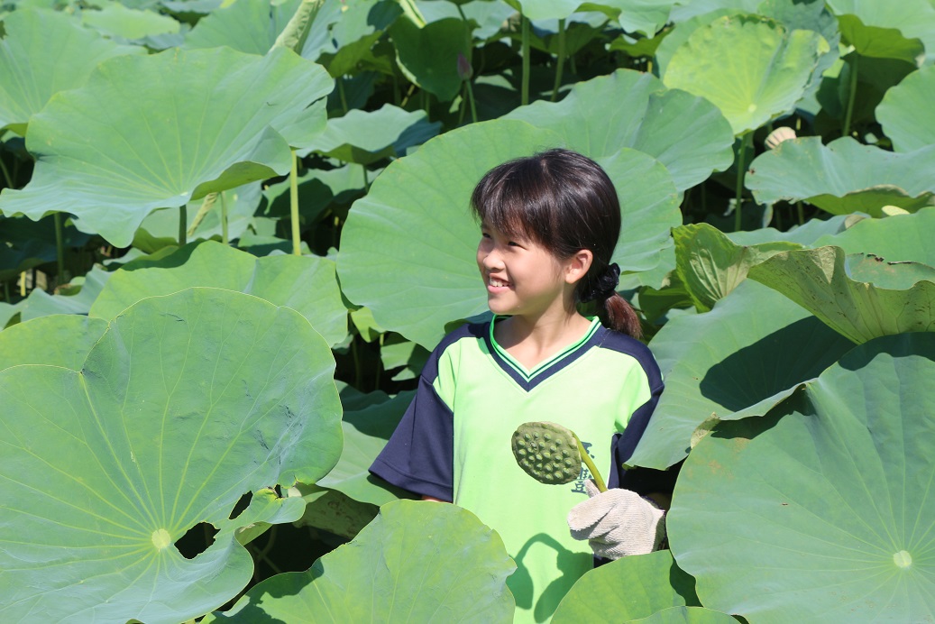 Sample Photo